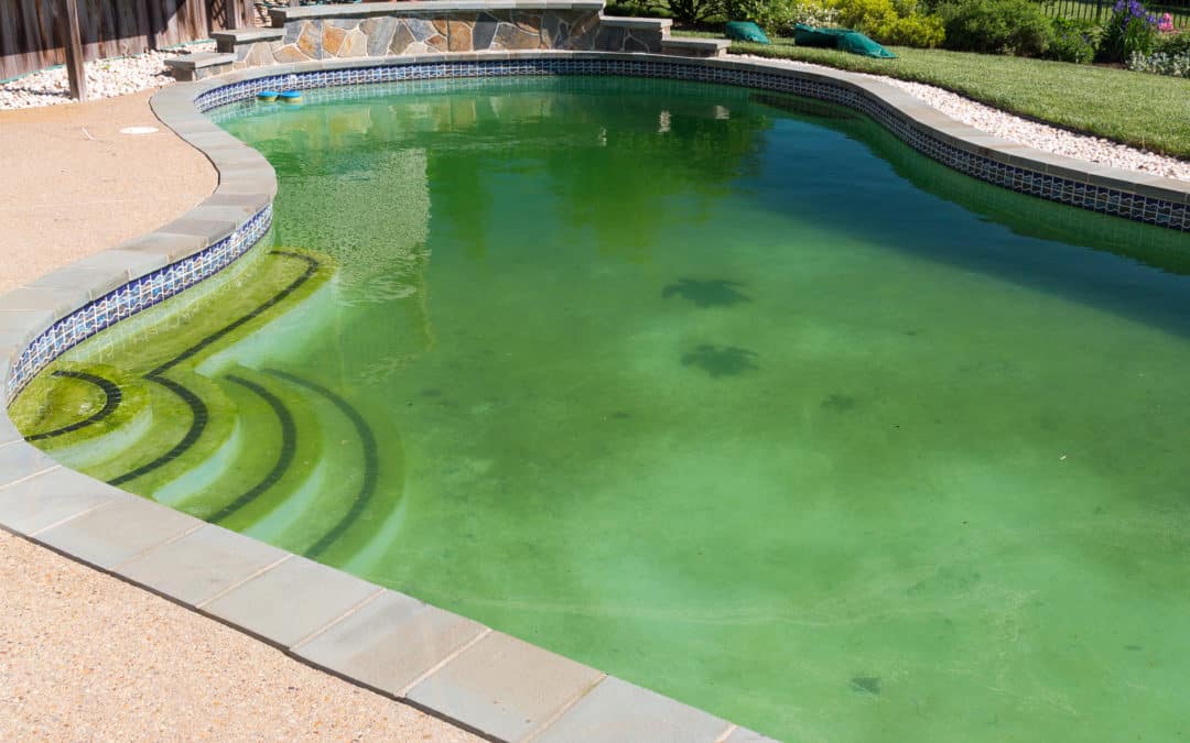 green pool phoenix and tucson arizona